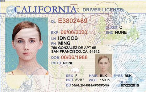 blank california driver license template