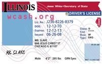 blank california driver license template